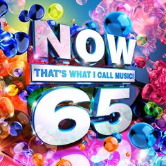 Now That's What I Call Music! 65 (CD)