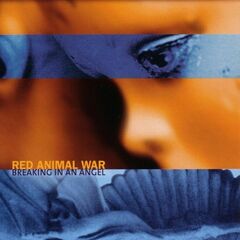 Breaking In An Angel (CD)