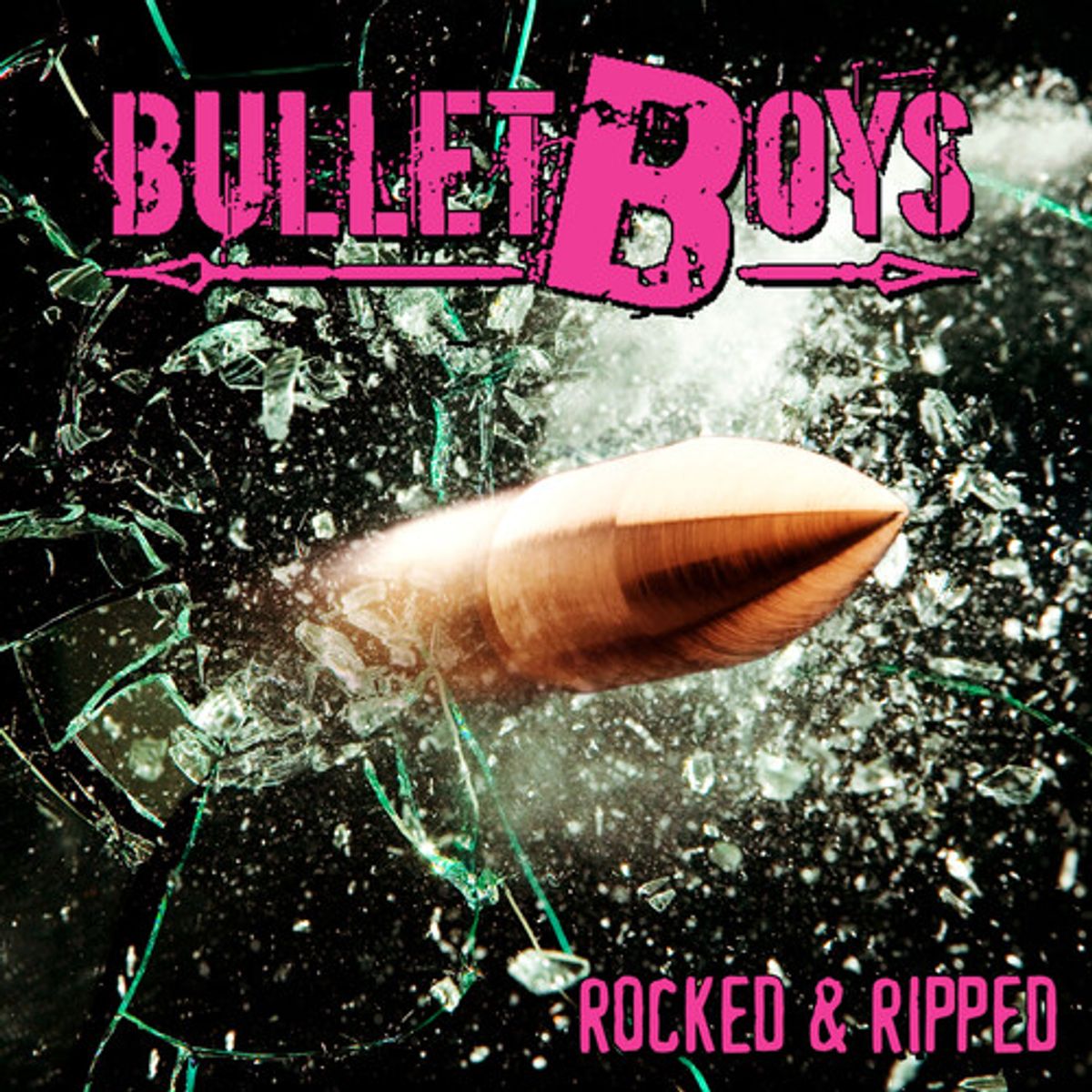 Rocked & Ripped (CD)