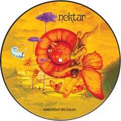 Remember The Future [Picture Disc] (LP)