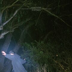 In Between [10th Anniversary Blue Vinyl] (LP)