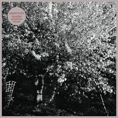 Parallel Universe Blues (LP)