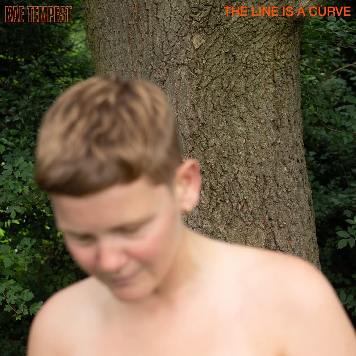 The Line Is A Curve [Deluxe Edition] (CD)