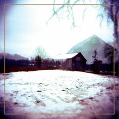 House With No Home [Colored Vinyl] (LP)