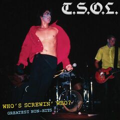 Who's Screwin' Who? 12 Greatest Non-Hits (CD)