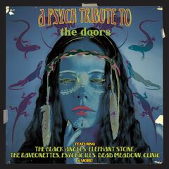 A Psych Tribute To The Doors (CD)