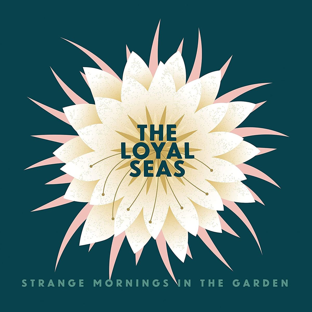 Strange Mornings In The Garden (CD)
