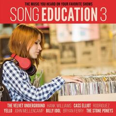 Song Education 3: The Music You Heard On Your Favorite Shows (LP)