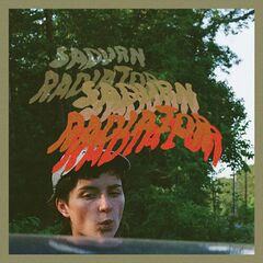 Radiator [Coke Bottle Clear Vinyl] (LP)
