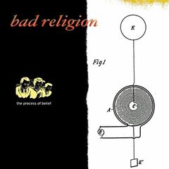 The Process Of Belief [20th Anniversary Orange/Black Vinyl] (LP)