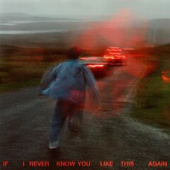 If I never know you like this again (LP)