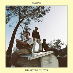 Tell Me That It's Over (CD)