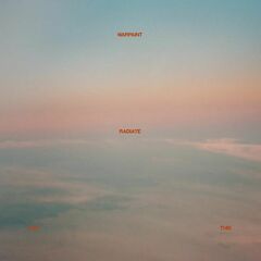 Radiate Like This (LP)