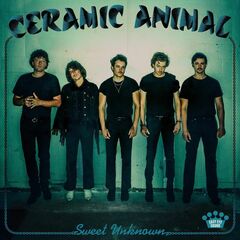 Sweet Unknown [Blue Smoke Vinyl] (LP)