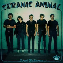 Sweet Unknown (CD)