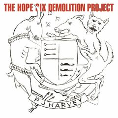 The Hope Six Demolition Project (LP)
