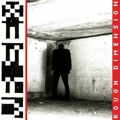Rough Dimension (LP)
