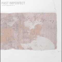 Past Imperfect: The Best Of Tindersticks '92-'21 [Deluxe Edition] (CD)