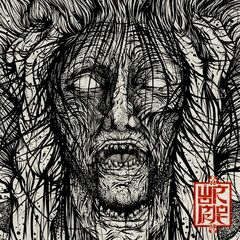 Voices (LP)