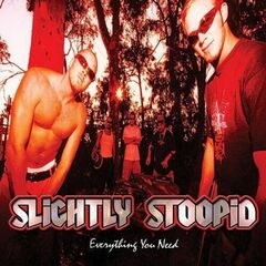 Everything You Need [Red w/ Black Splatter Vinyl] (LP)