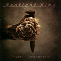 Something For The Pain (CD)