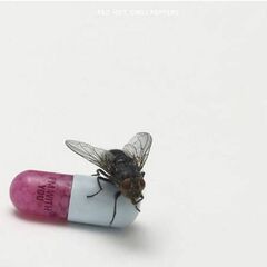 I'm With You (CD)