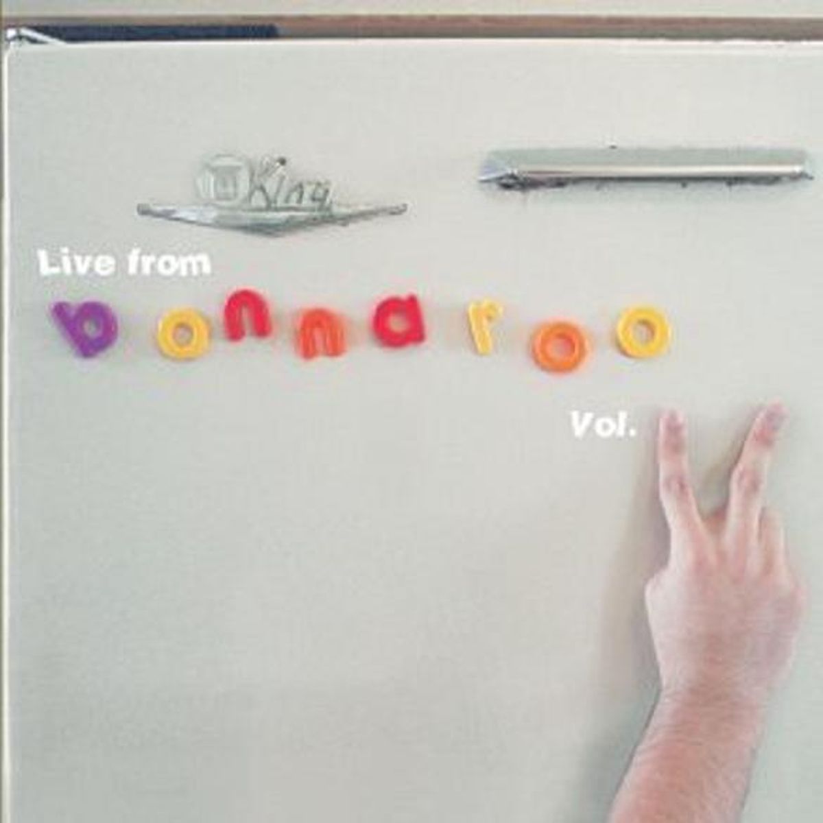 Live From Bonnaroo Vol. 2 (CD)