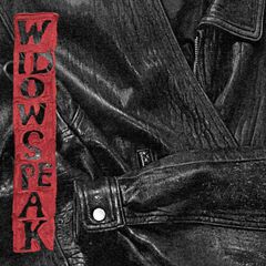 The Jacket (CD)