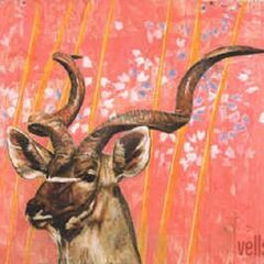 Vells (CD)