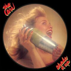 Shake It Up [Expanded Edition 180 Gram Vinyl] (LP)