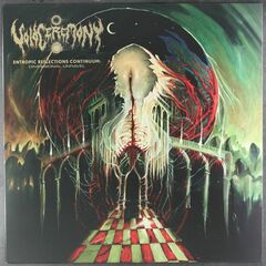 Entropic Reflections Continuum: Dimensional Unravel (LP)