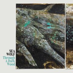 Through A Dark Wood (LP)
