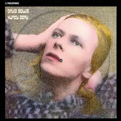 Hunky Dory [Picture Disc] (LP)