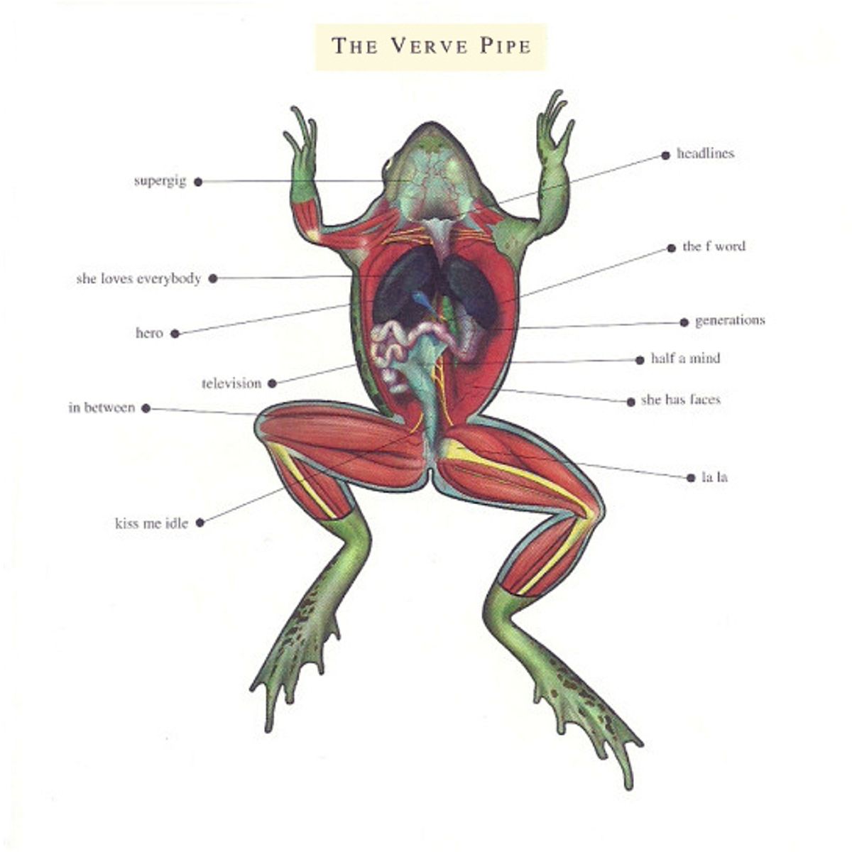 The Verve Pipe (CD)