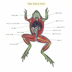 The Verve Pipe (CD)