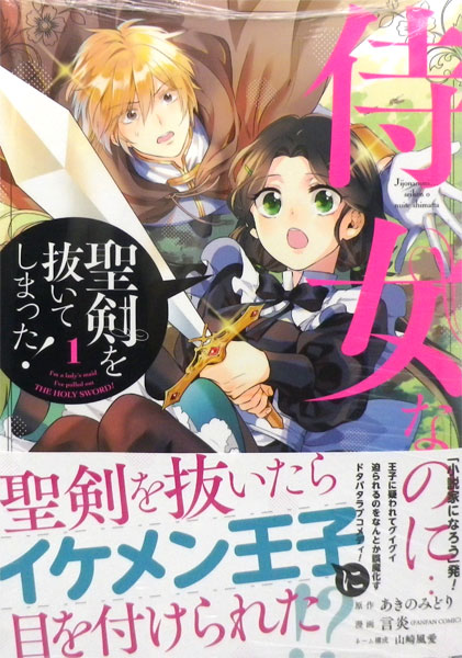 Jijo nanoni...Seiken o Nuiteshimatta! 1 (BOOK)