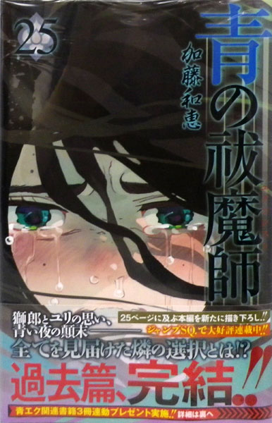 Blue Exorcist 25 (BOOK)