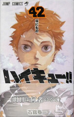 Haikyuu!! 42 Regular Edition (BOOK)