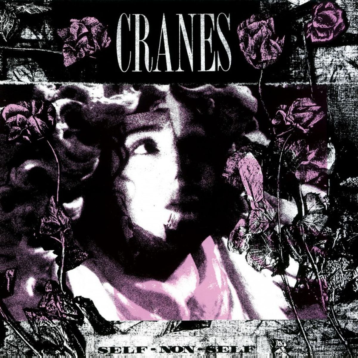 Self-Non-Self [180 Gram Clear Vinyl] (LP)