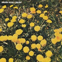 Land Grab (CD)
