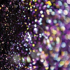 810 (CD)