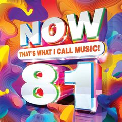 NOW That's What I Call Music! Vol. 81 (CD)