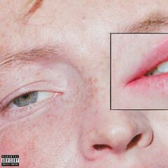 Dandelion (LP)