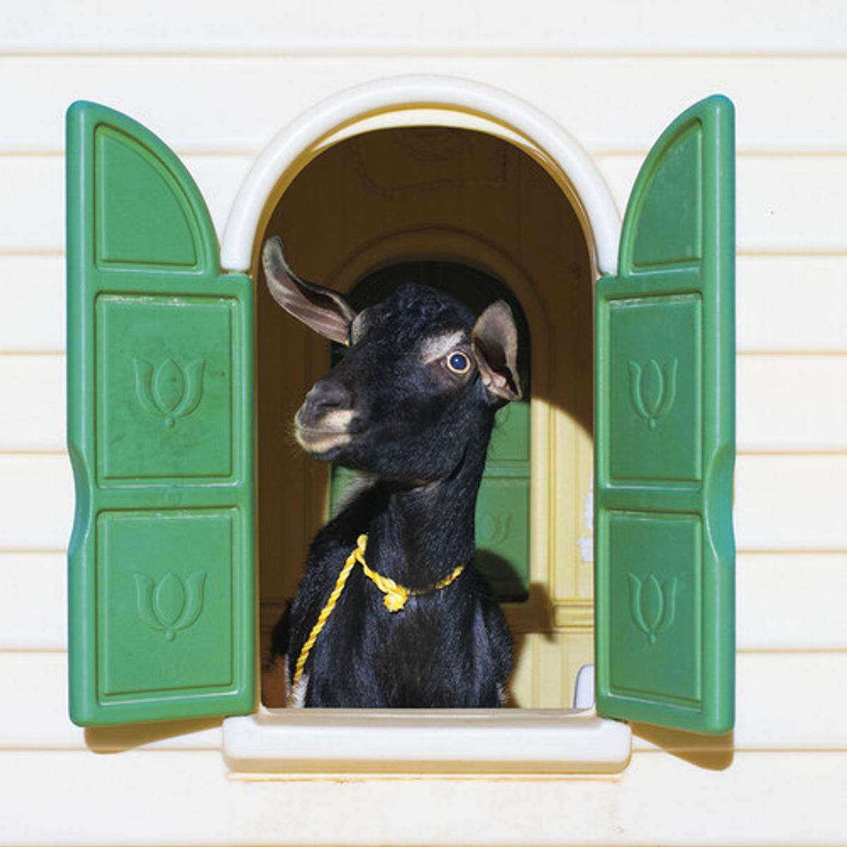 Wild Loneliness [Green/Yellow Vinyl] (LP)