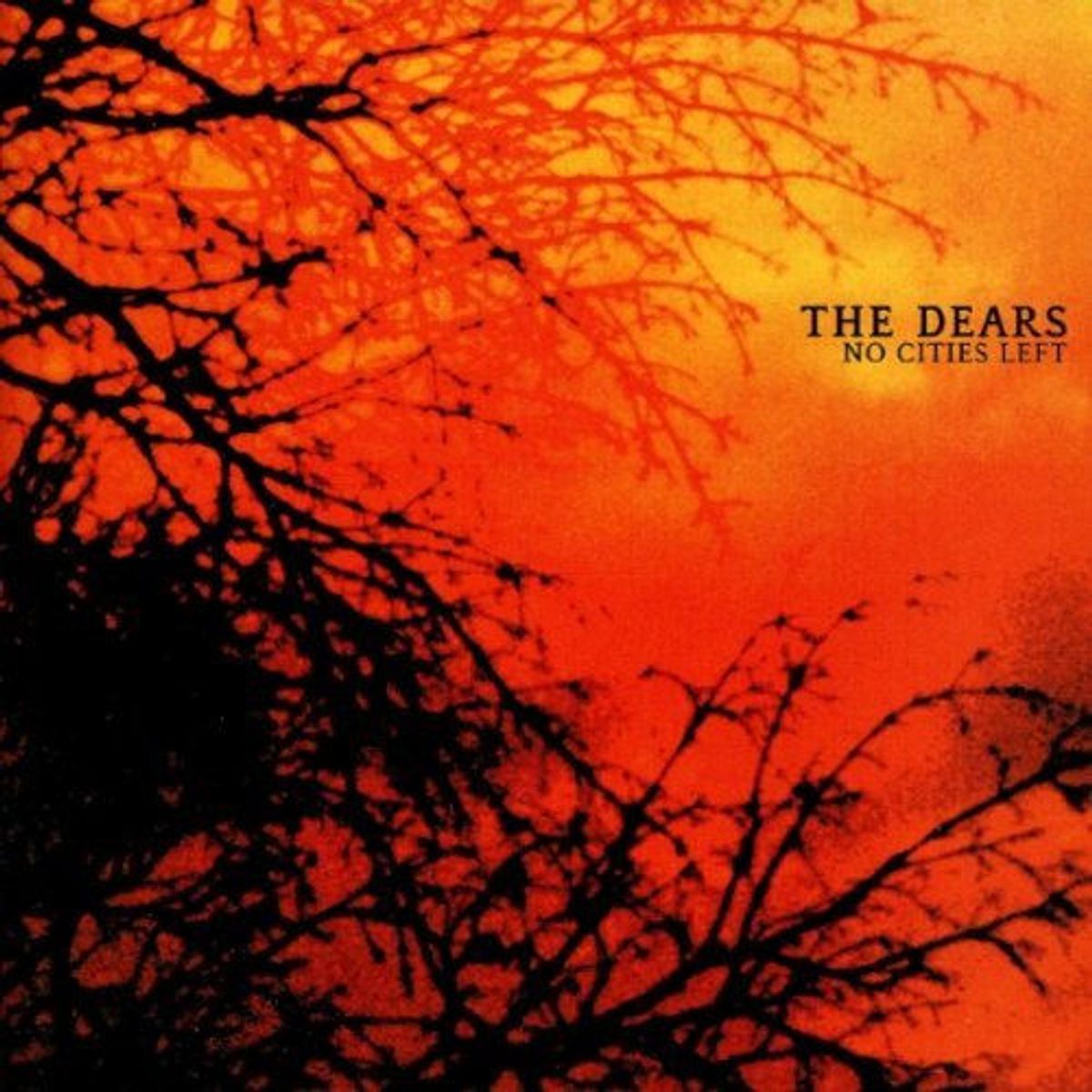 No Cities Left (CD)