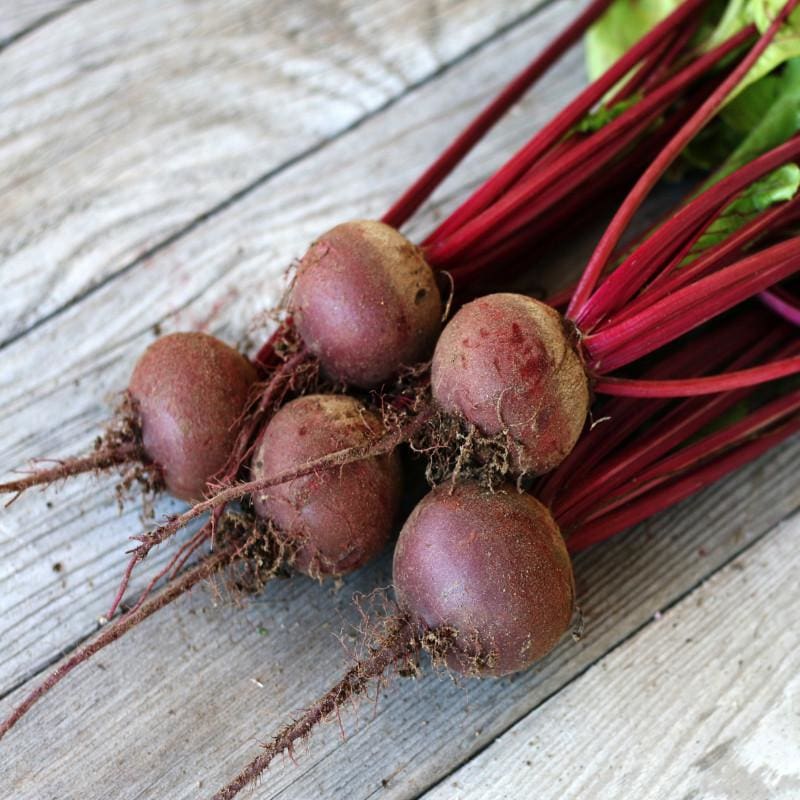 Beet Red Cloud