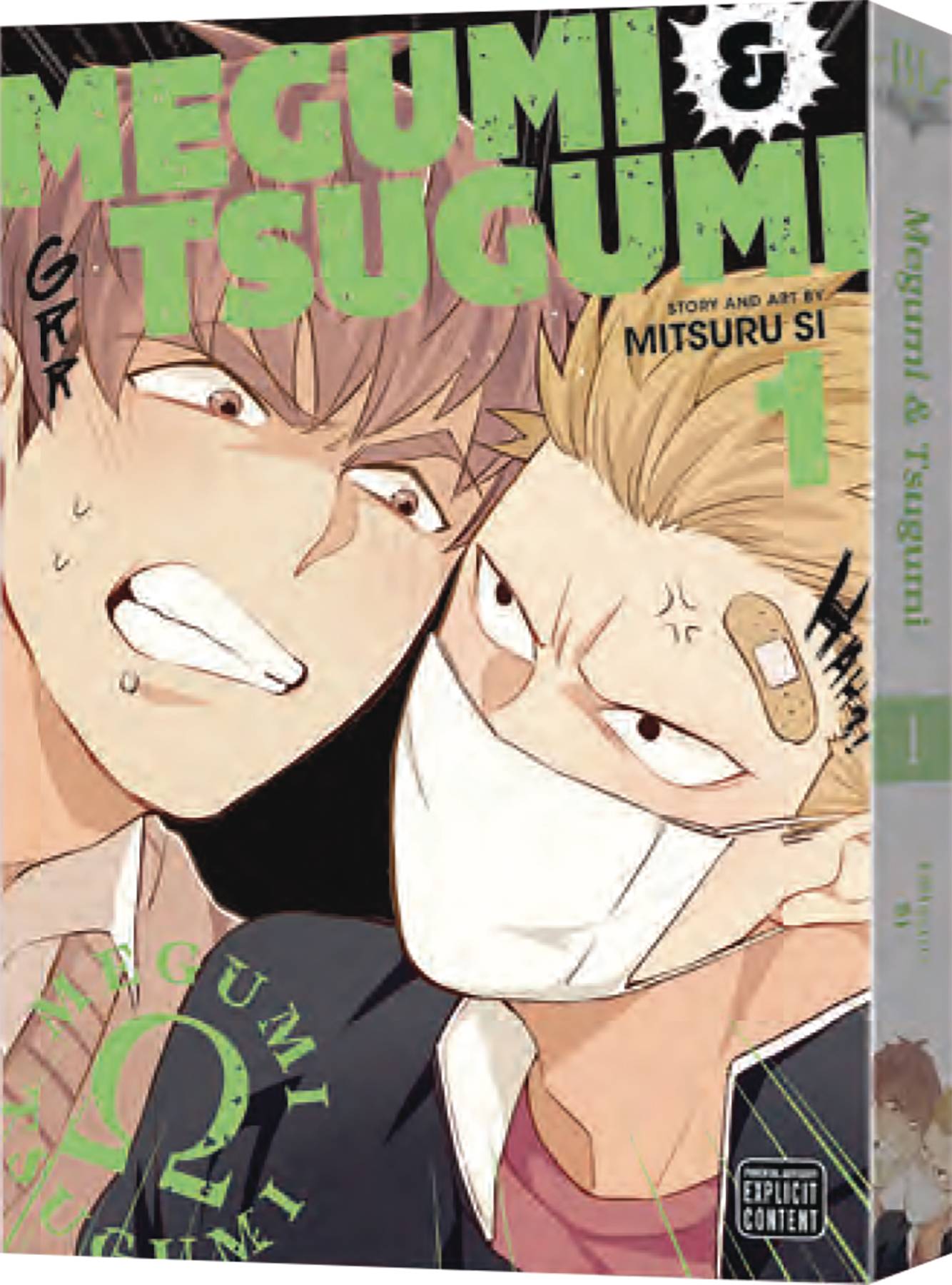 Megumi & Tsugumi Gn (STL257629)