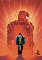 Df Amazing Spiderman #17 Romita Jr Var Wells Sgn (STL257572)