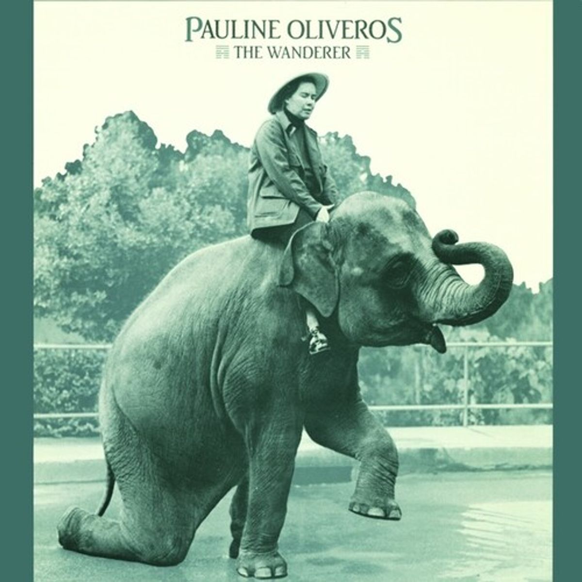 The Wanderer (LP)
