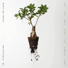 Let The Soil Play Its Simple Part [Clear Vinyl] (LP)